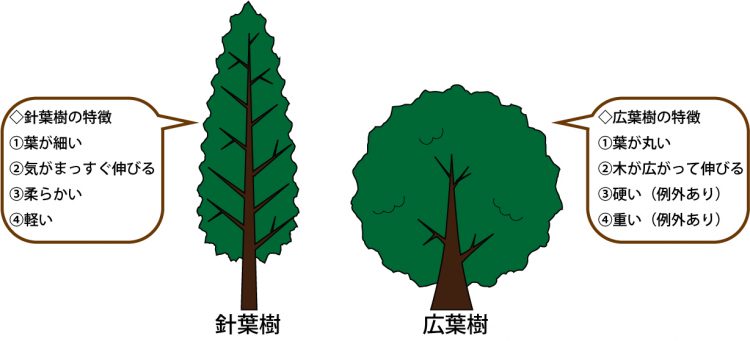 樹木 と 木 の 違い
