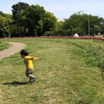 お気に入りの公園